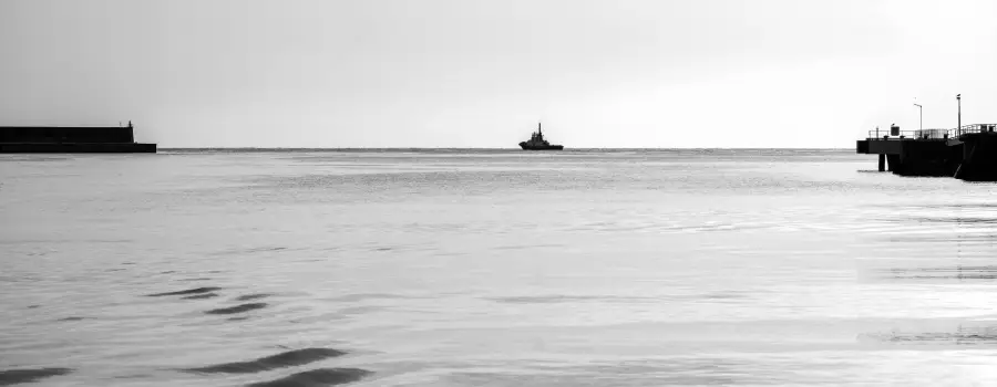 Statement on TasPorts CEO