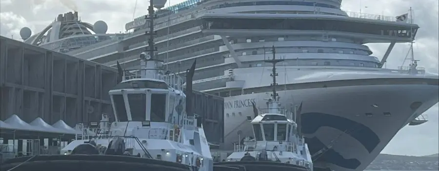 Welcome back cruise