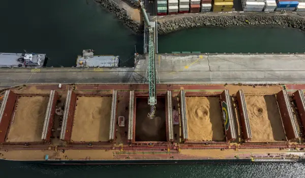 Tas Ports BB211124 228