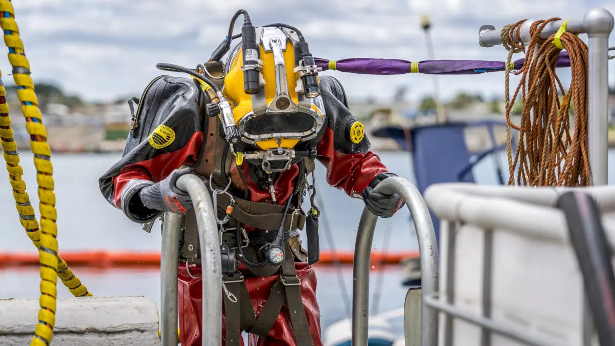 Devonport diving 2