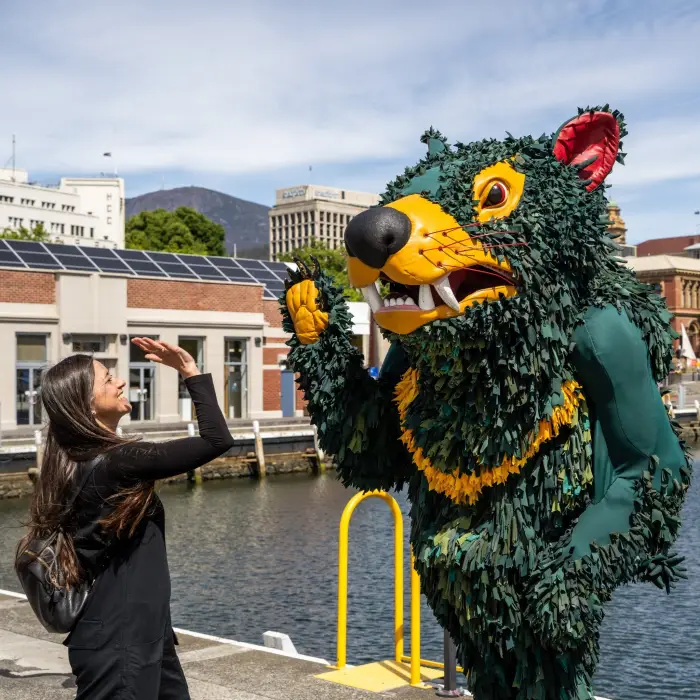 Tasports Shepherd mates Square