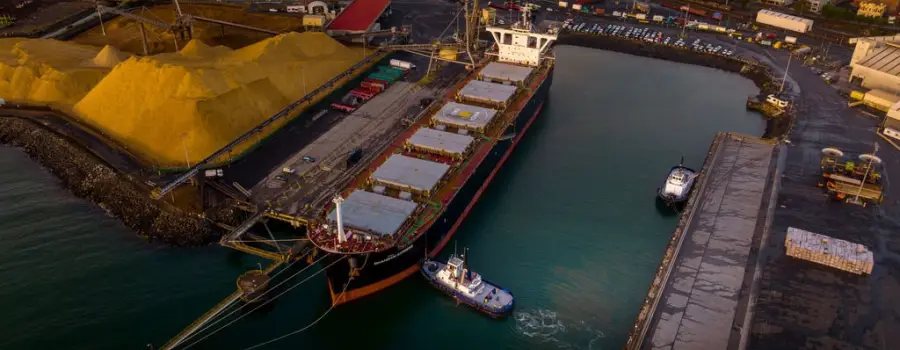 Incident at Burnie Chip Export Terminal